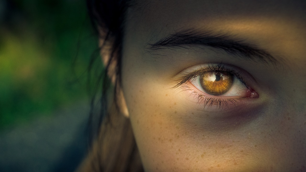 Role of Privacy Shades in Home Security